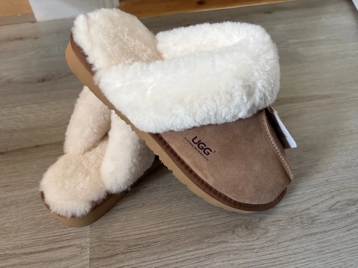 UGG Australian shephead - Image 1