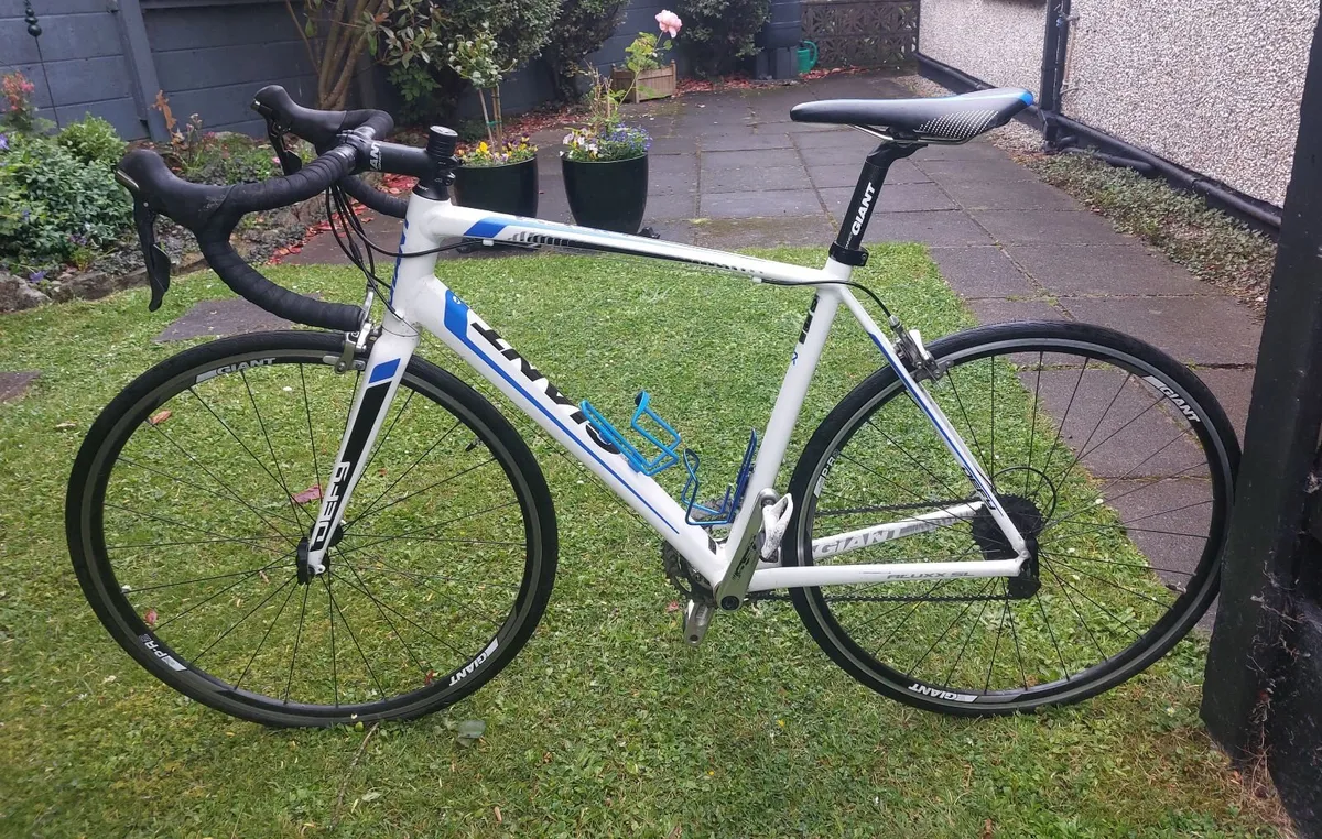 Giant Defy Alux SL – Full Ultegra 11 Speed - Image 2
