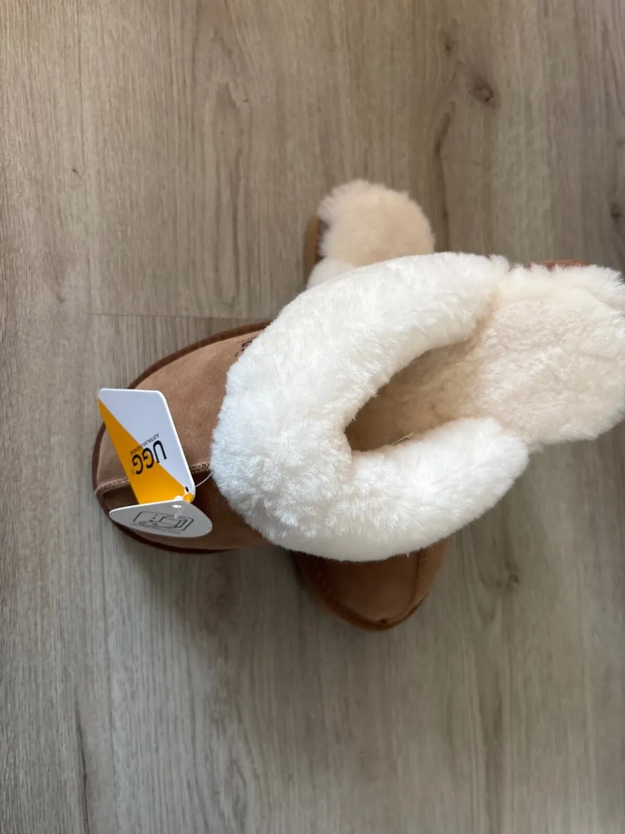 UGG Australian shephead - Image 2