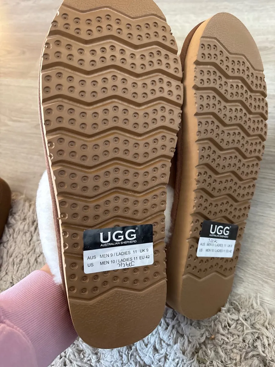UGG Australian shephead - Image 3