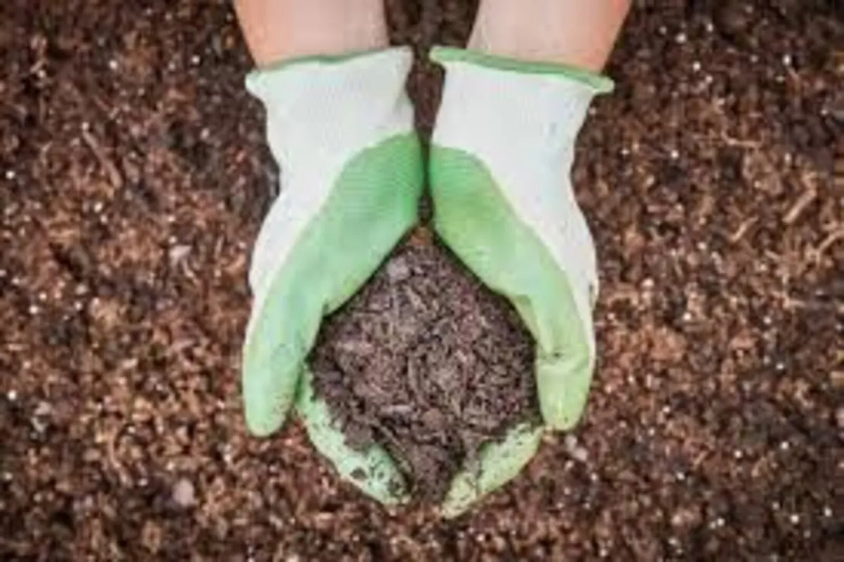 Mushroom Compost (well composted)