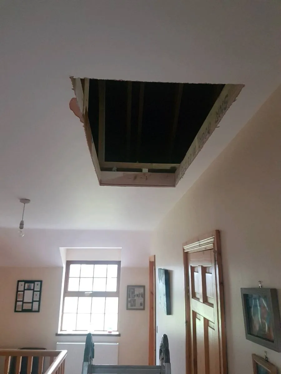 Attic ladder, attic flooring and free light - Image 2