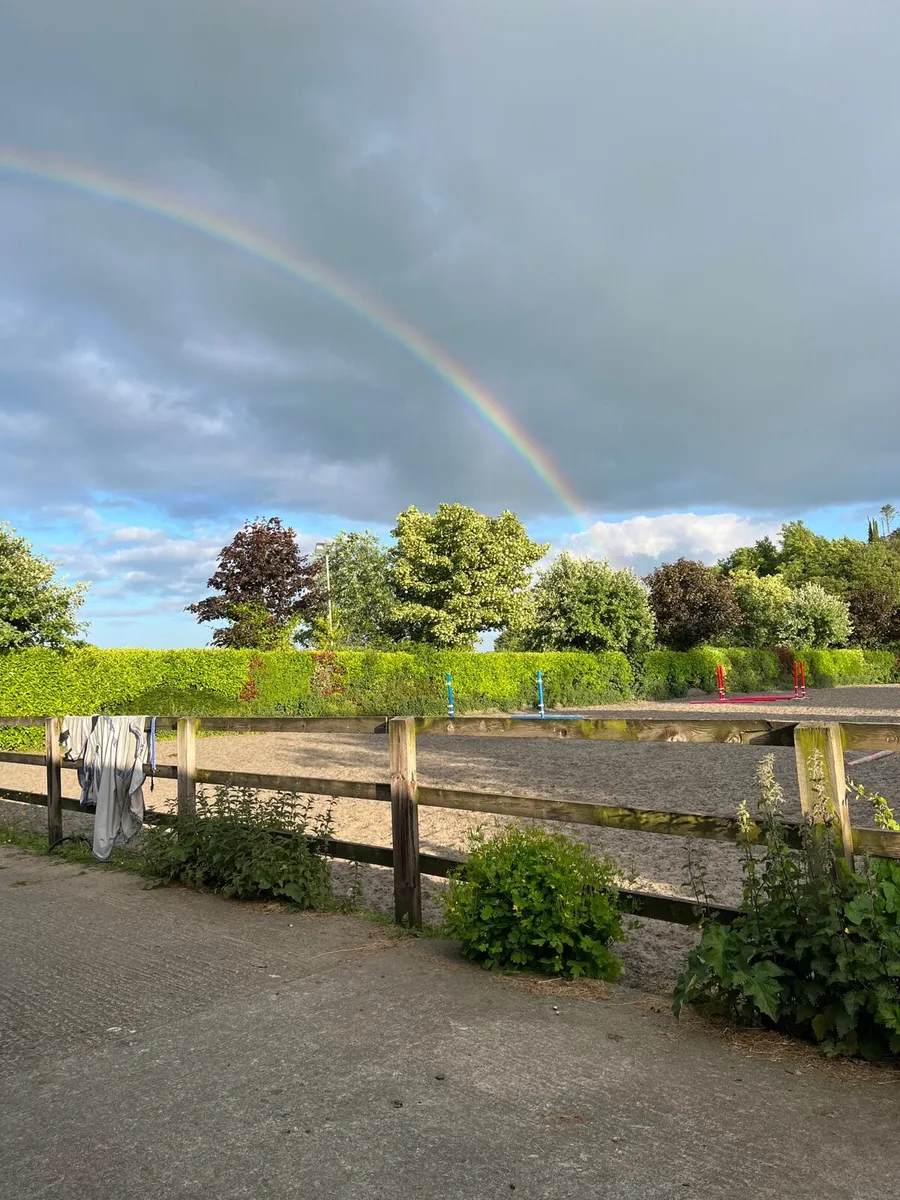 Full Livery co Meath - Image 1