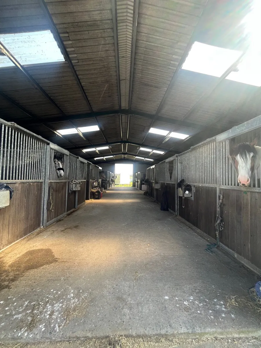 Full Livery co Meath - Image 3