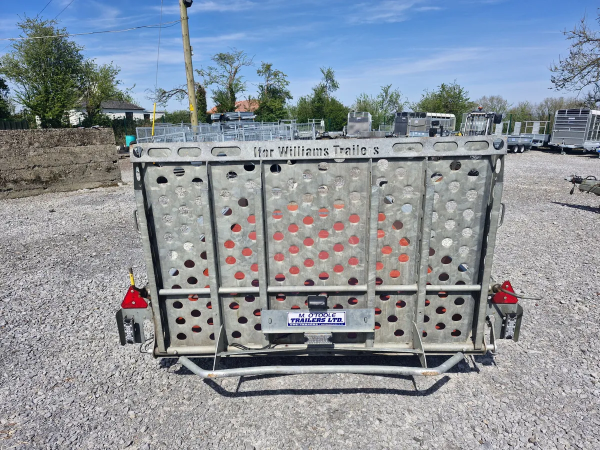 IFOR WILLIAMS     12' x 6'  PLANT  TRAILER - Image 3