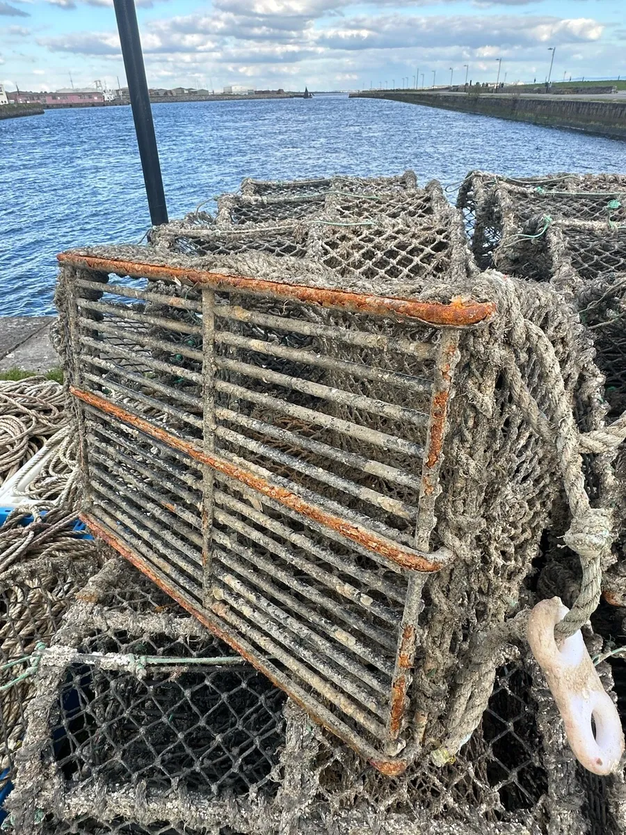 Lobster pots - Image 3