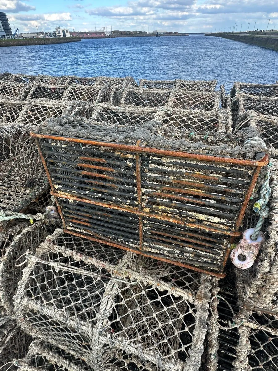 Lobster pots - Image 4