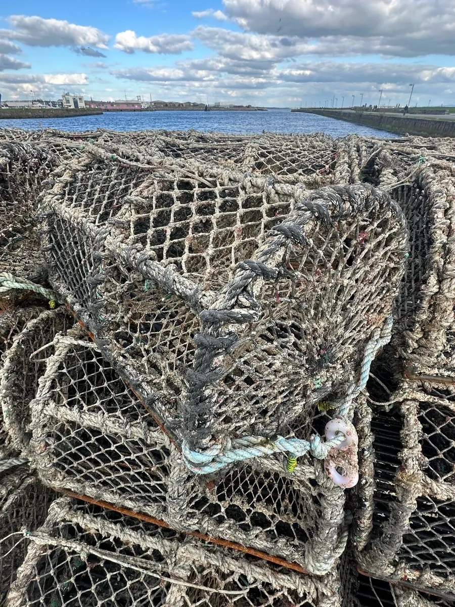 Lobster pots - Image 2