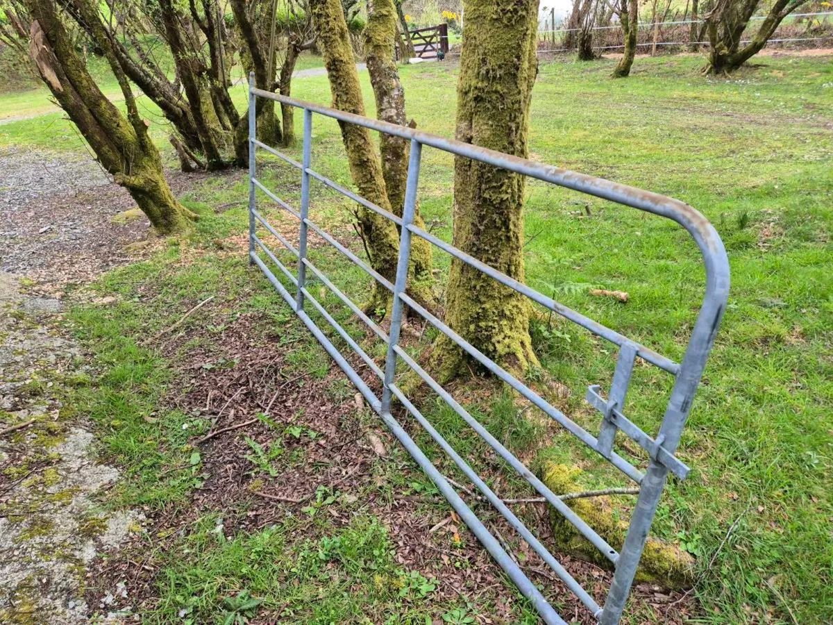 Galvanised Farm Gates