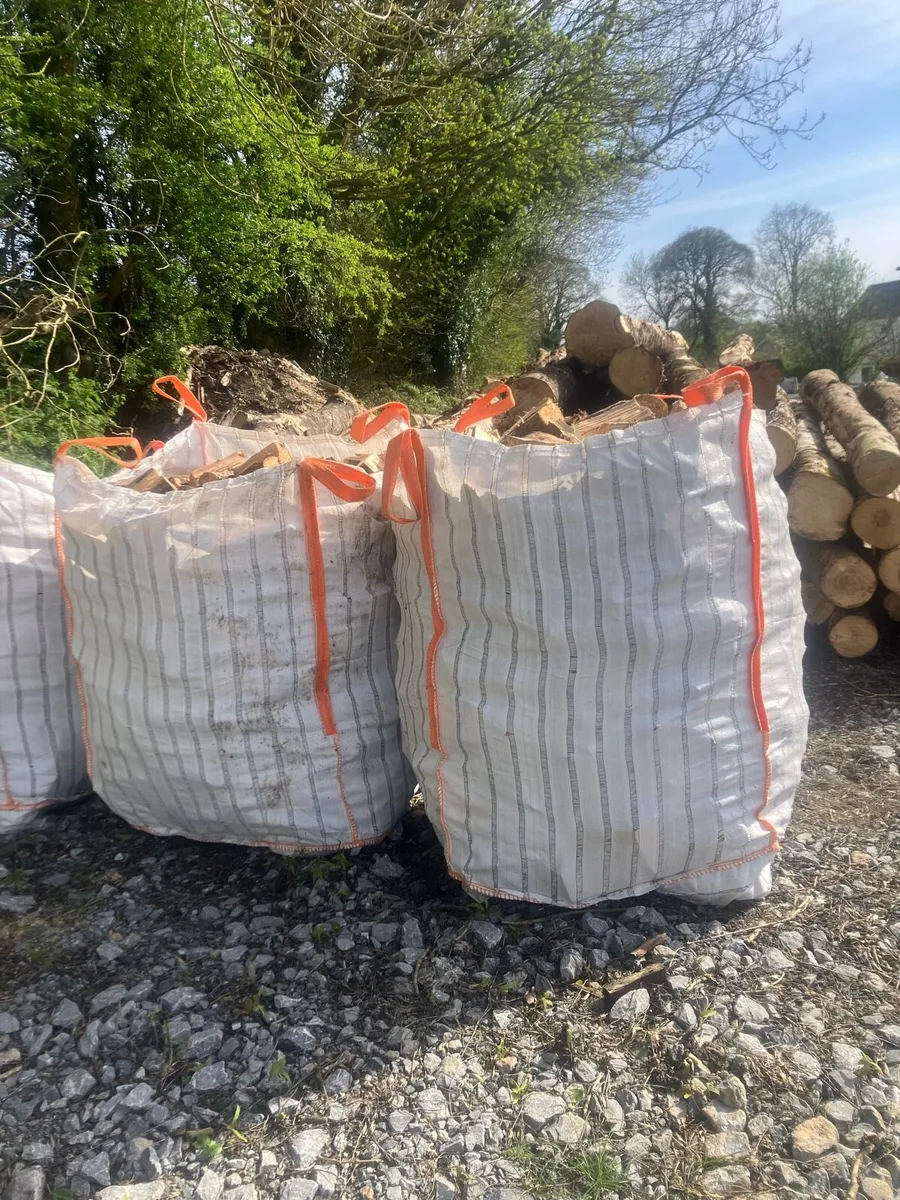 Firewood - Image 2