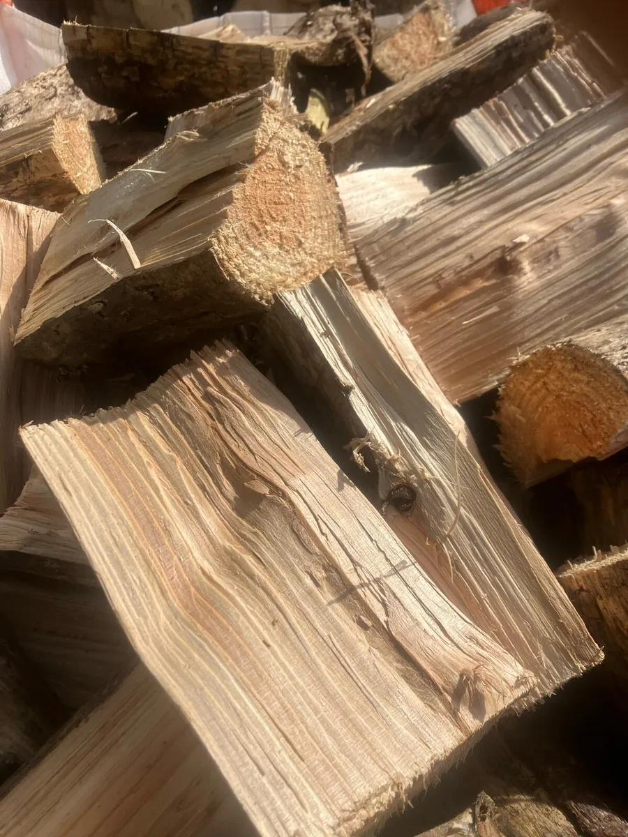 Firewood - Image 1
