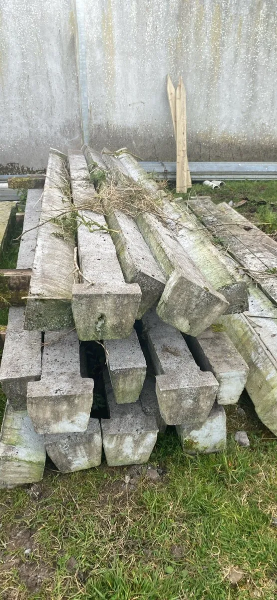 NEW TEN FOOT SIX CATTLE SLATS - Image 2