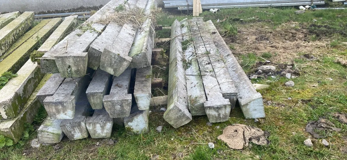 NEW TEN FOOT SIX CATTLE SLATS - Image 3