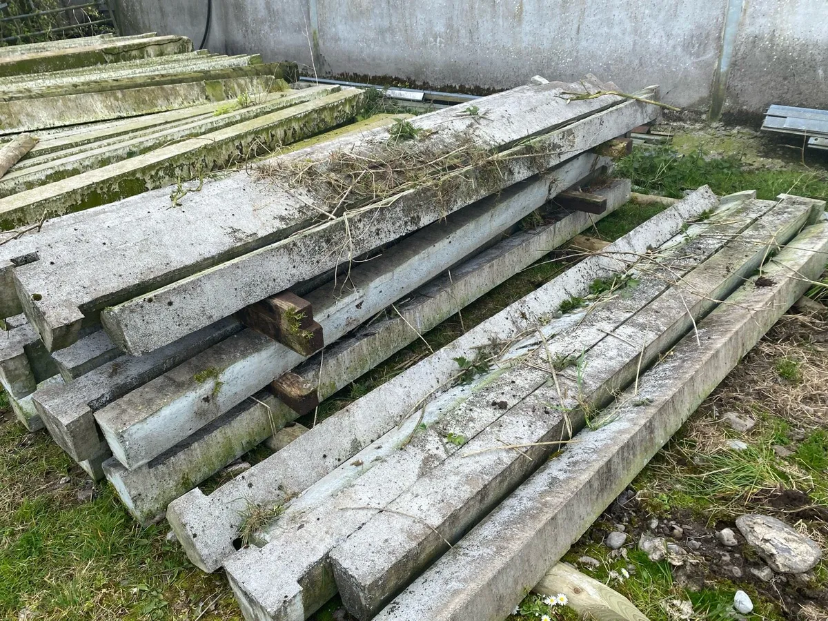 NEW TEN FOOT SIX CATTLE SLATS - Image 1