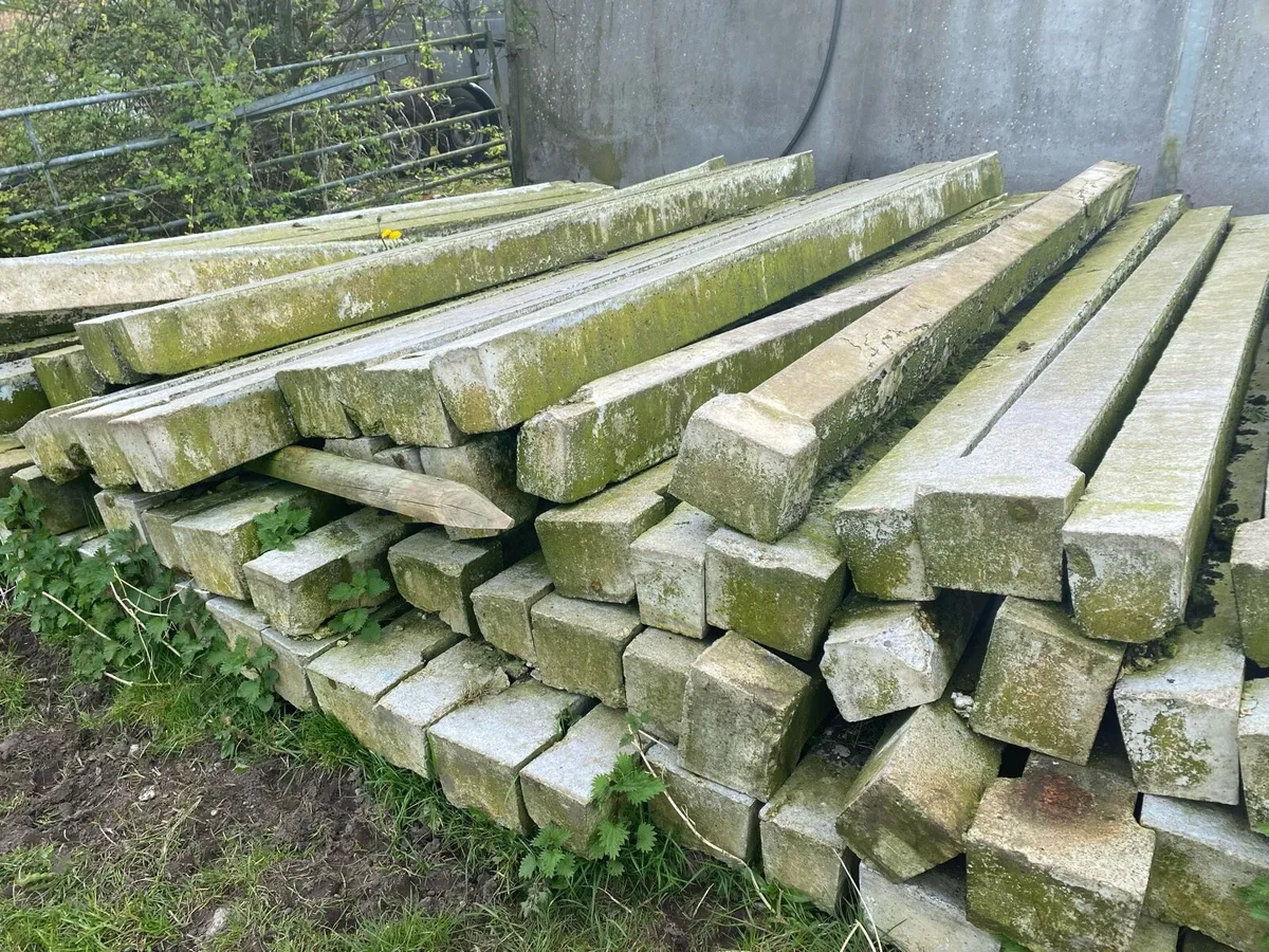 NEW TEN FOOT SIX CATTLE SLATS - Image 4