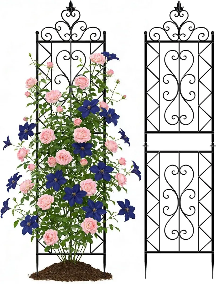 200cm Metal Garden Trellis for Climbing Plants - Image 1