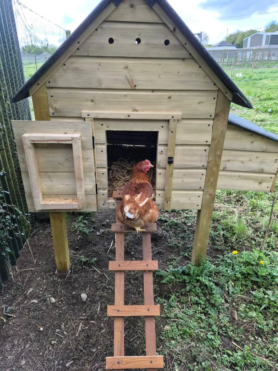Chicken Coop - Image 1