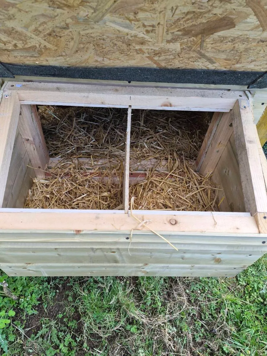 Chicken Coop - Image 2