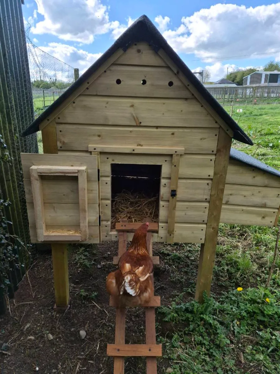 Chicken Coop - Image 3