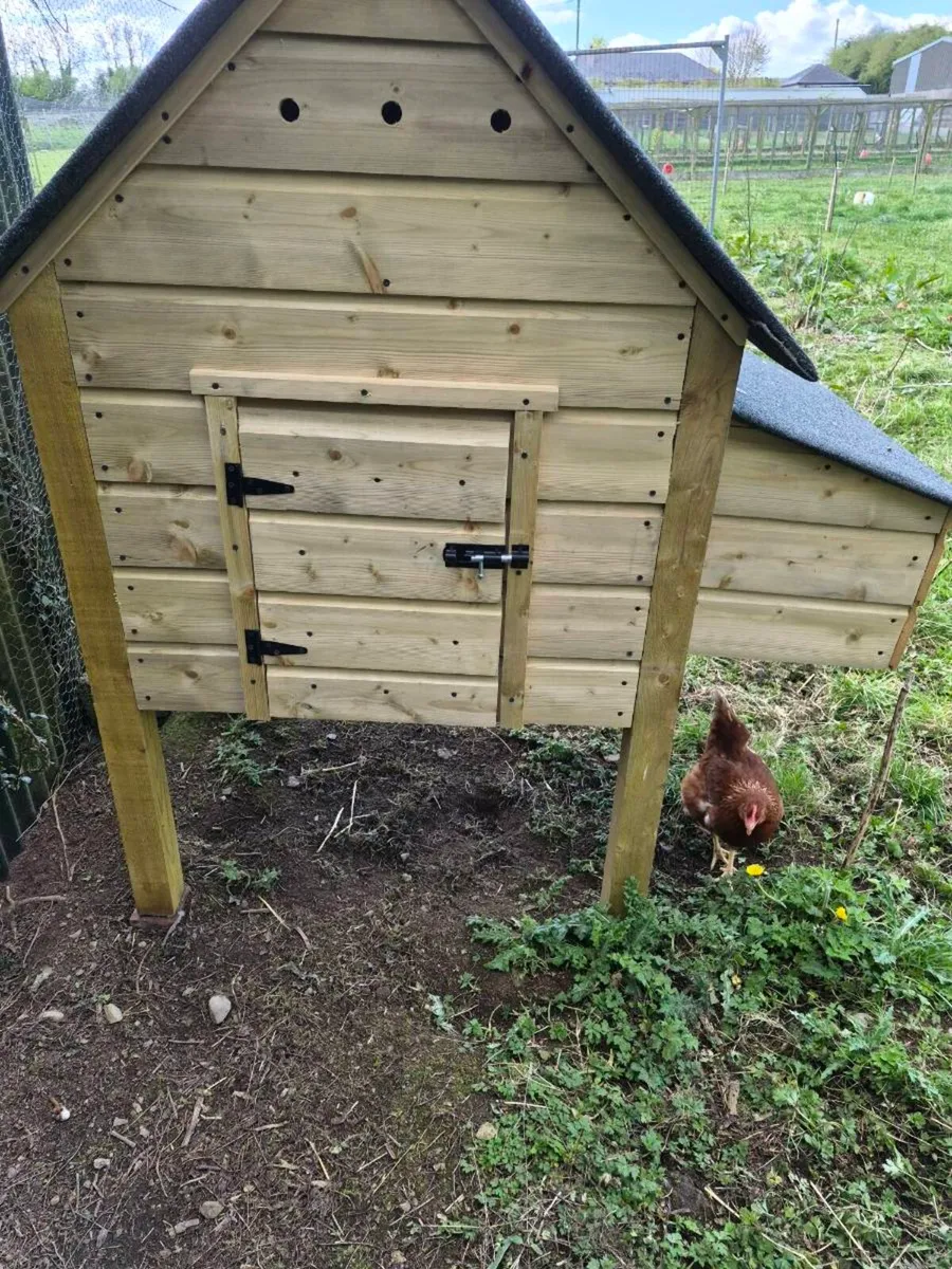 Chicken Coop - Image 4