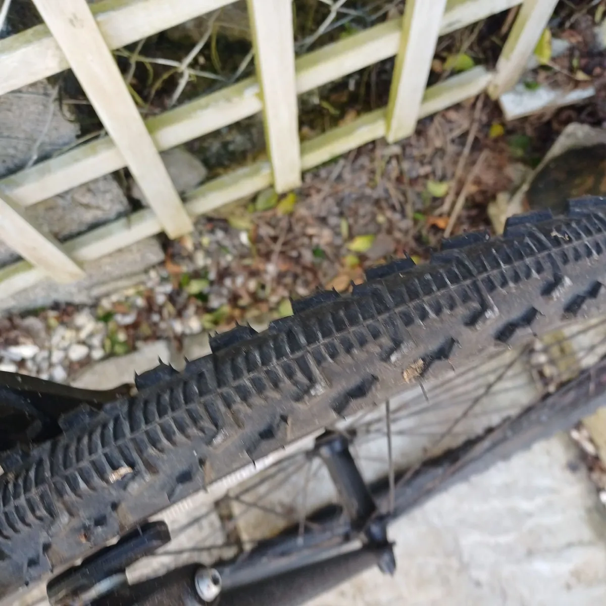 Ridgeback bike - Image 4