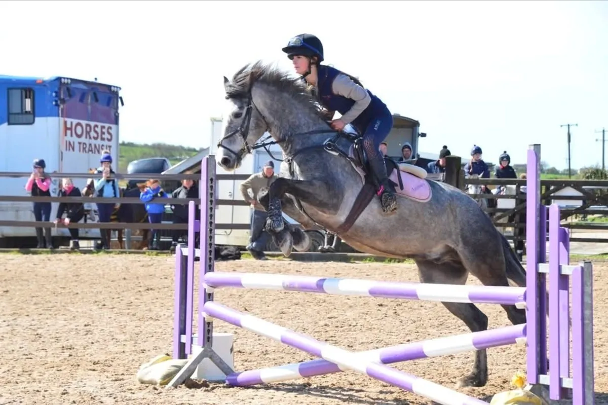 Superstar Connemara - Image 1