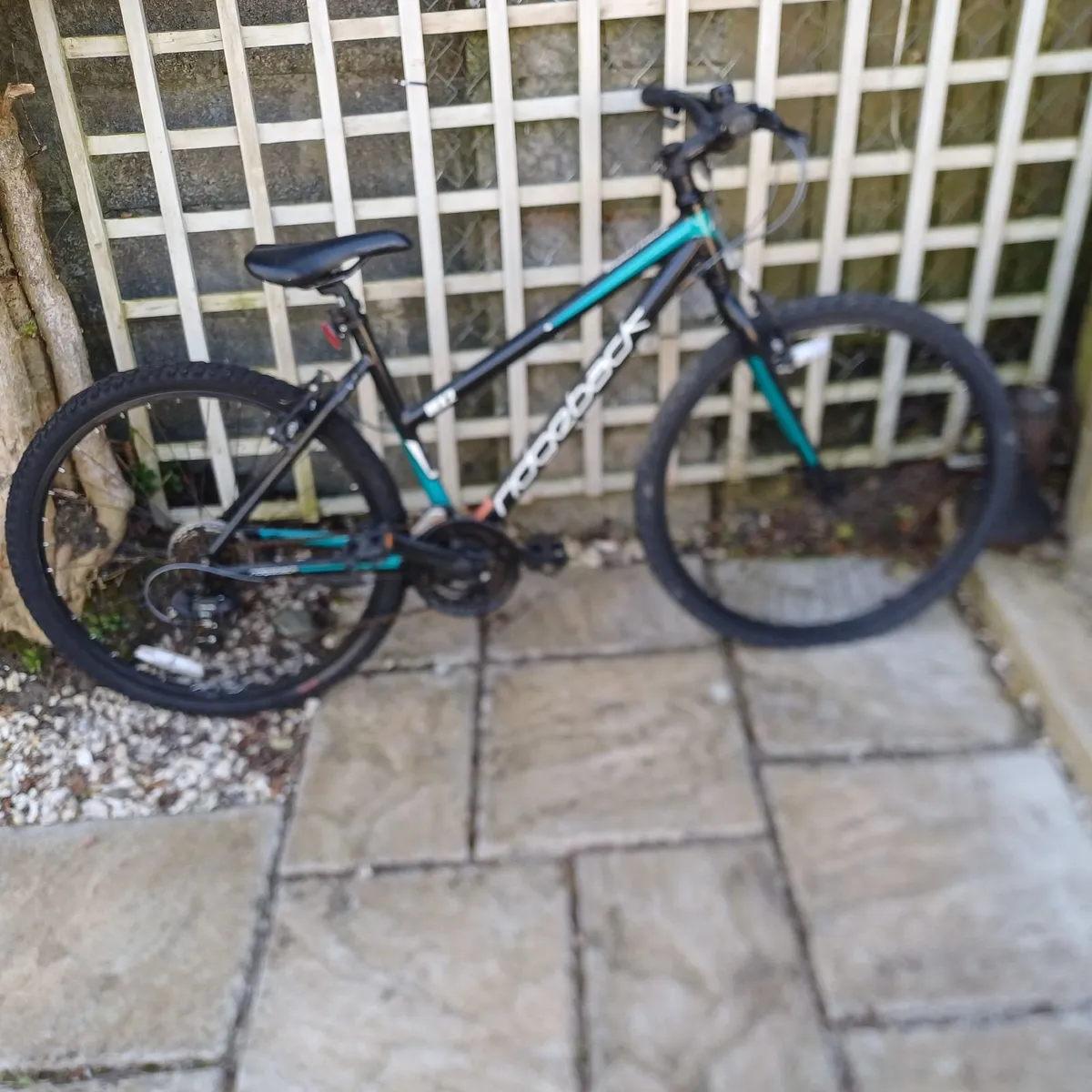 Ridgeback bike - Image 3