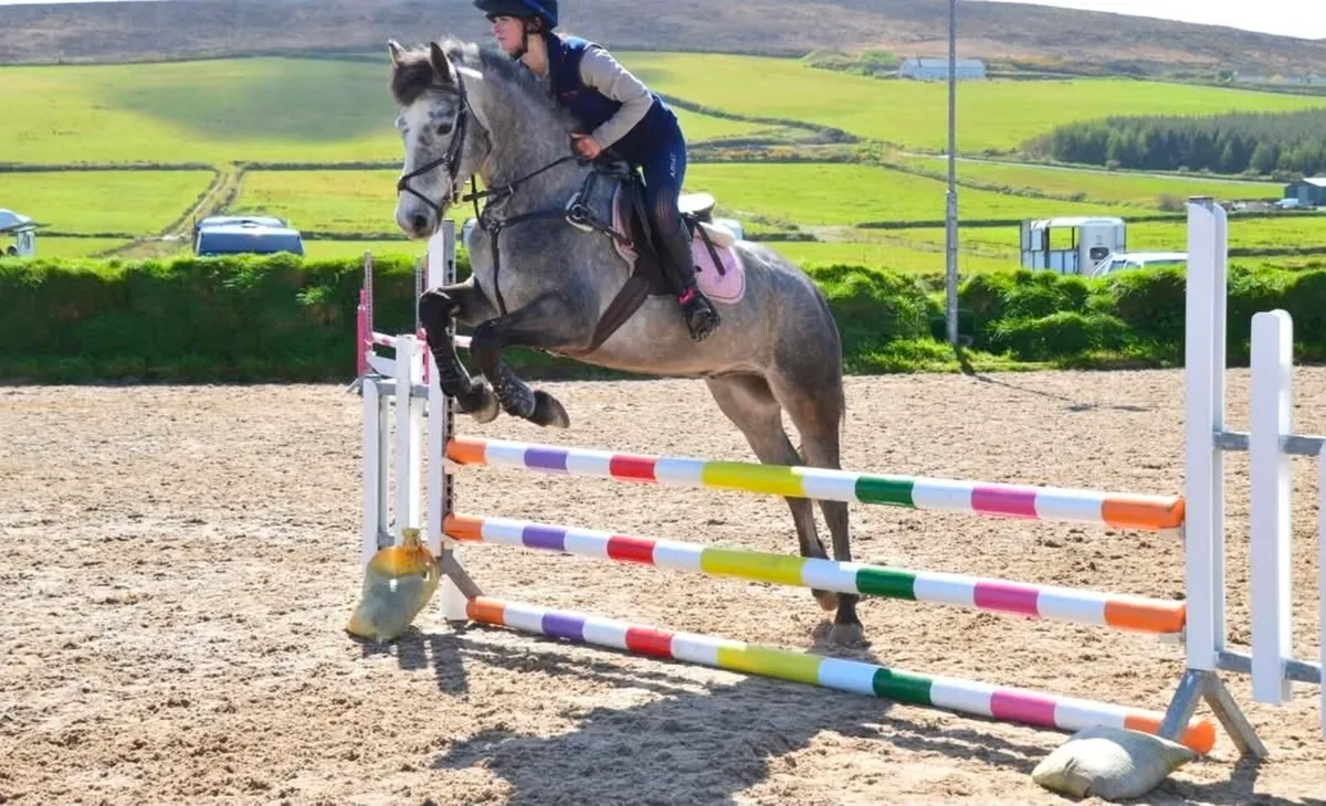 Superstar Connemara - Image 2