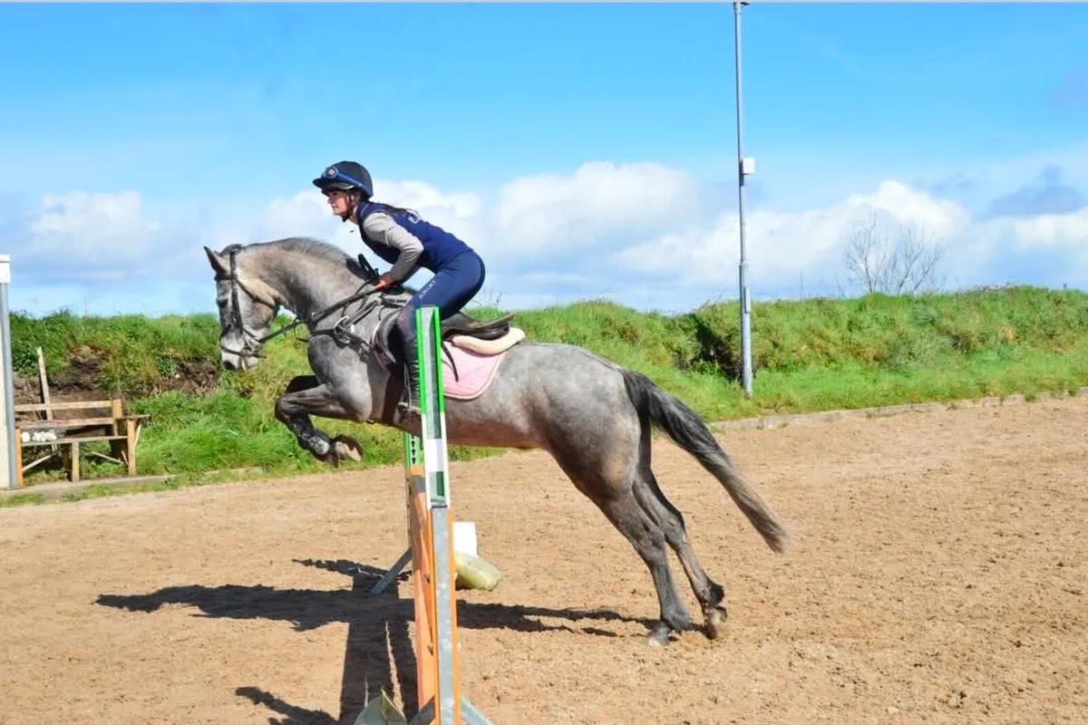 Superstar Connemara - Image 3