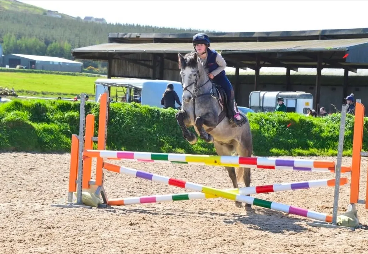 Superstar Connemara - Image 4