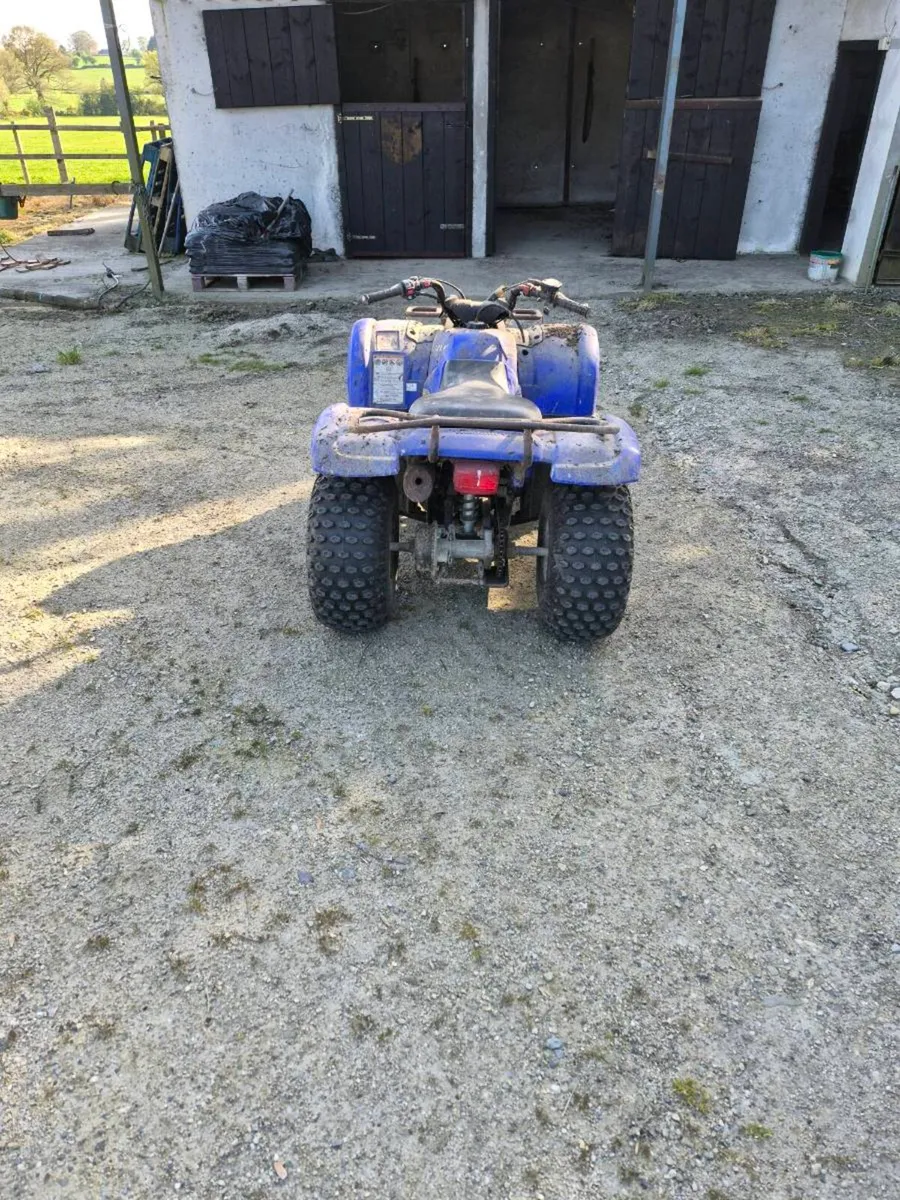 Yamaha mini grizzly 125 Quad - Image 1