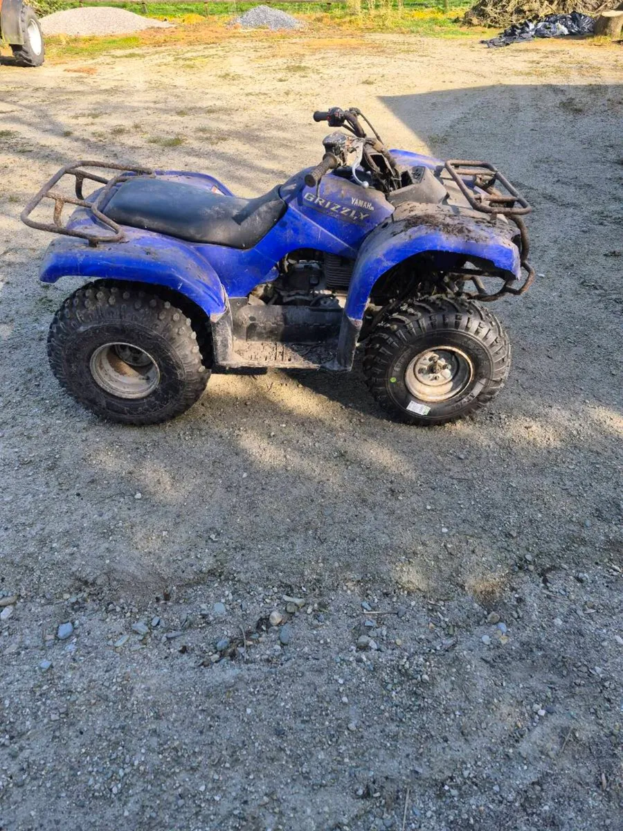 Yamaha mini grizzly 125 Quad - Image 2