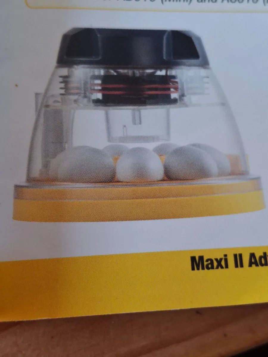 Poultry equipment - Image 1