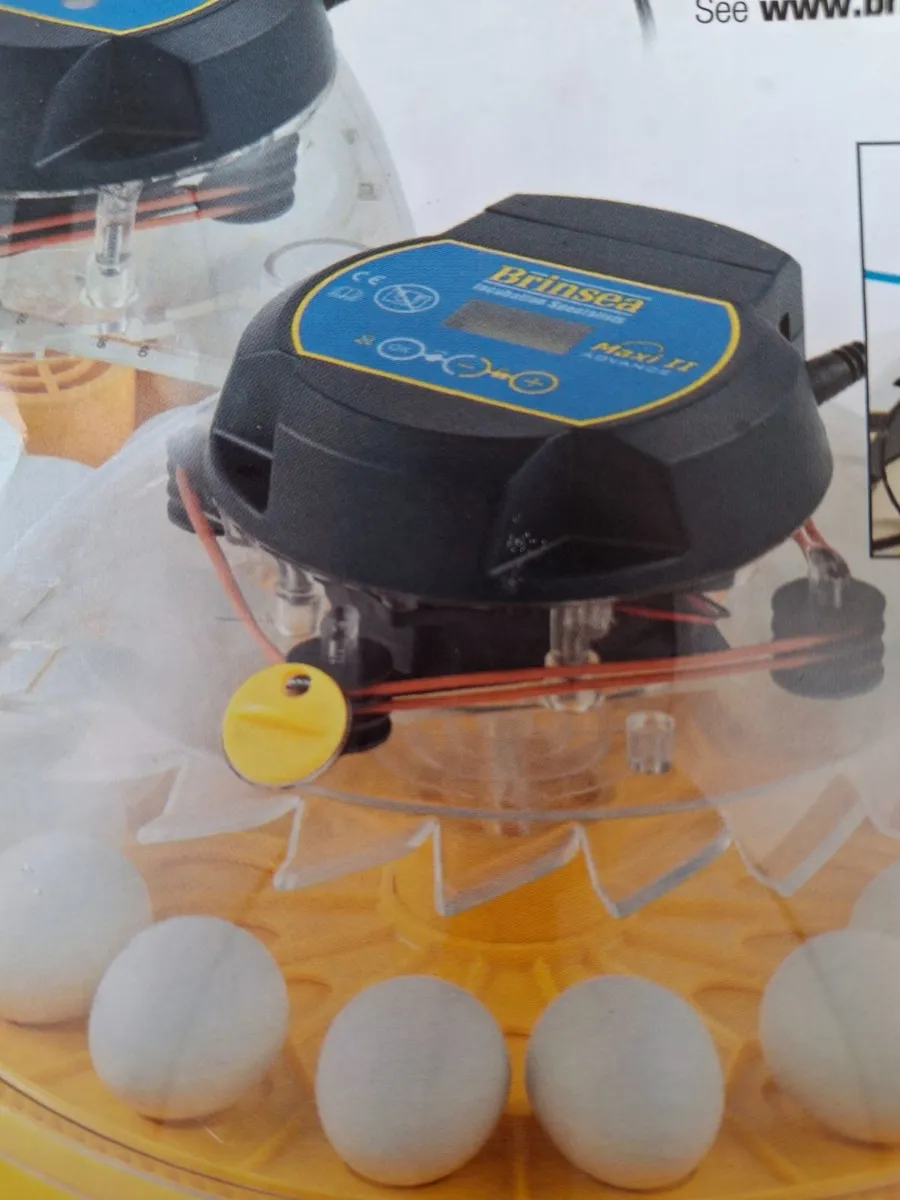 Poultry equipment - Image 4