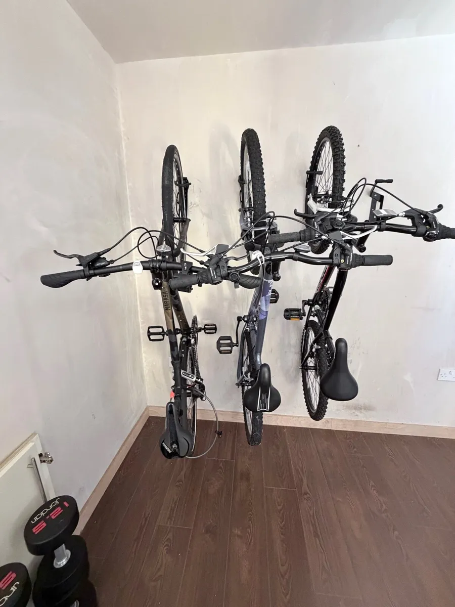 Marasa Voodoo Men’s Bike, Apollo Jewel Ladies Bike - Image 2