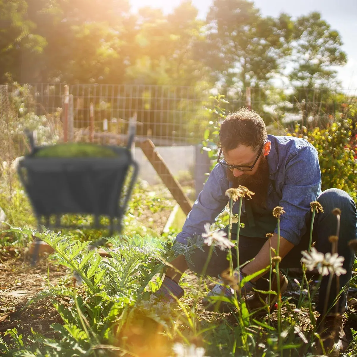 Folding Wheelbarrow with Solid Rubber Tyres Steel - Image 4