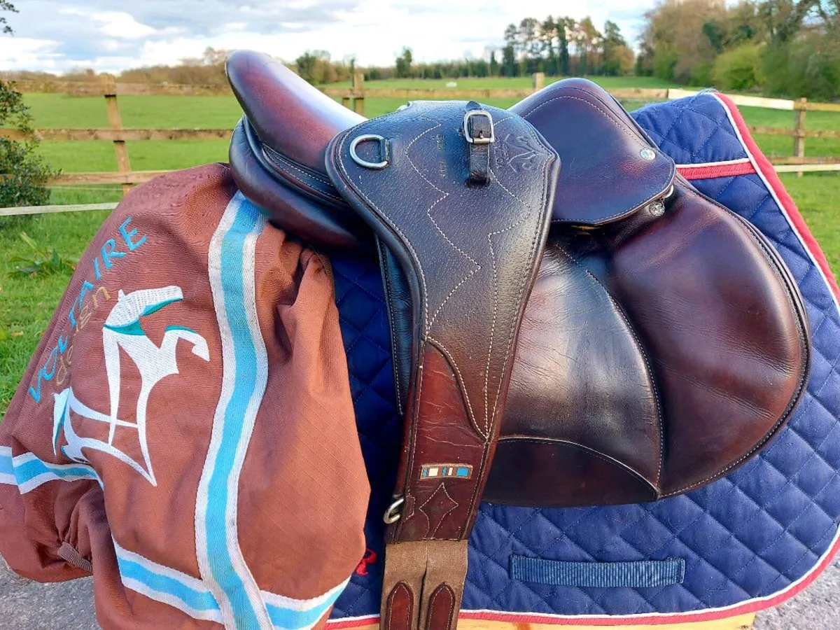 VOLTAIRE PALM BEACH SADDLE - Image 1