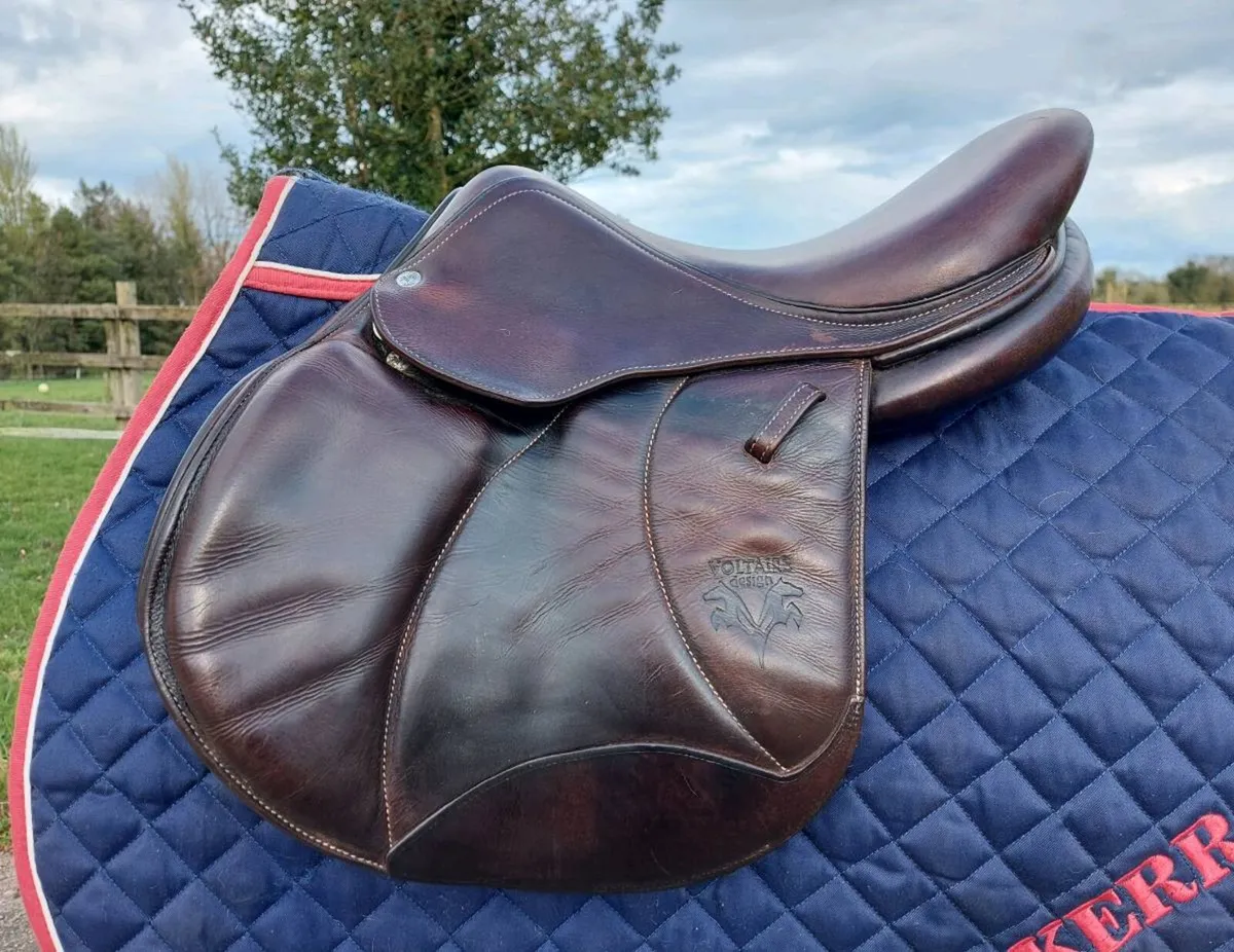 VOLTAIRE PALM BEACH SADDLE - Image 2