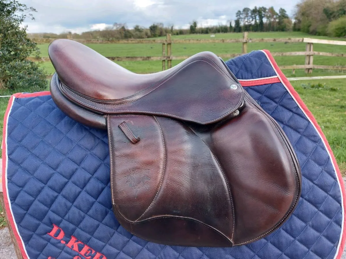 VOLTAIRE PALM BEACH SADDLE - Image 3