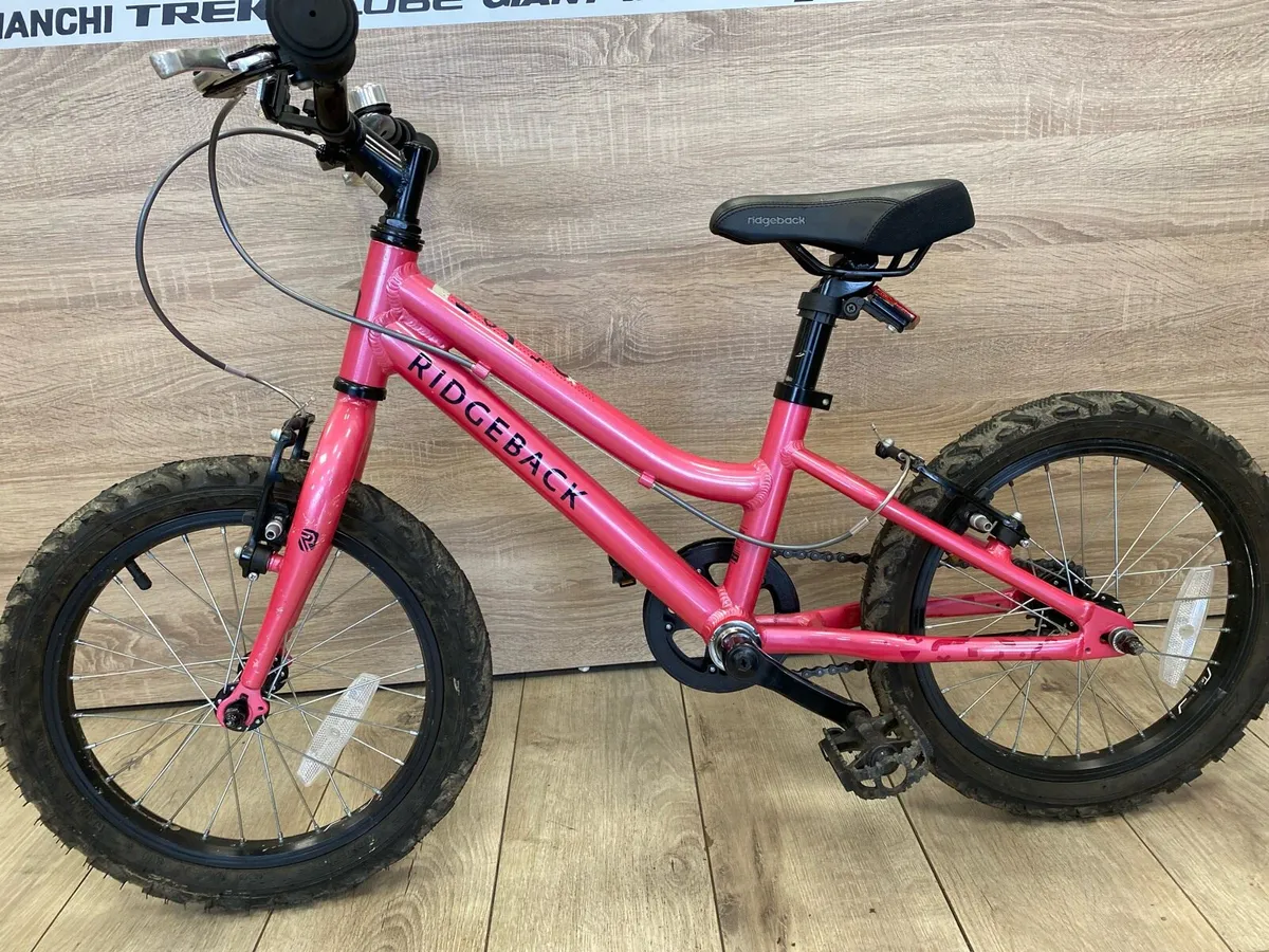 Ridgeback melody (like new) - Image 4