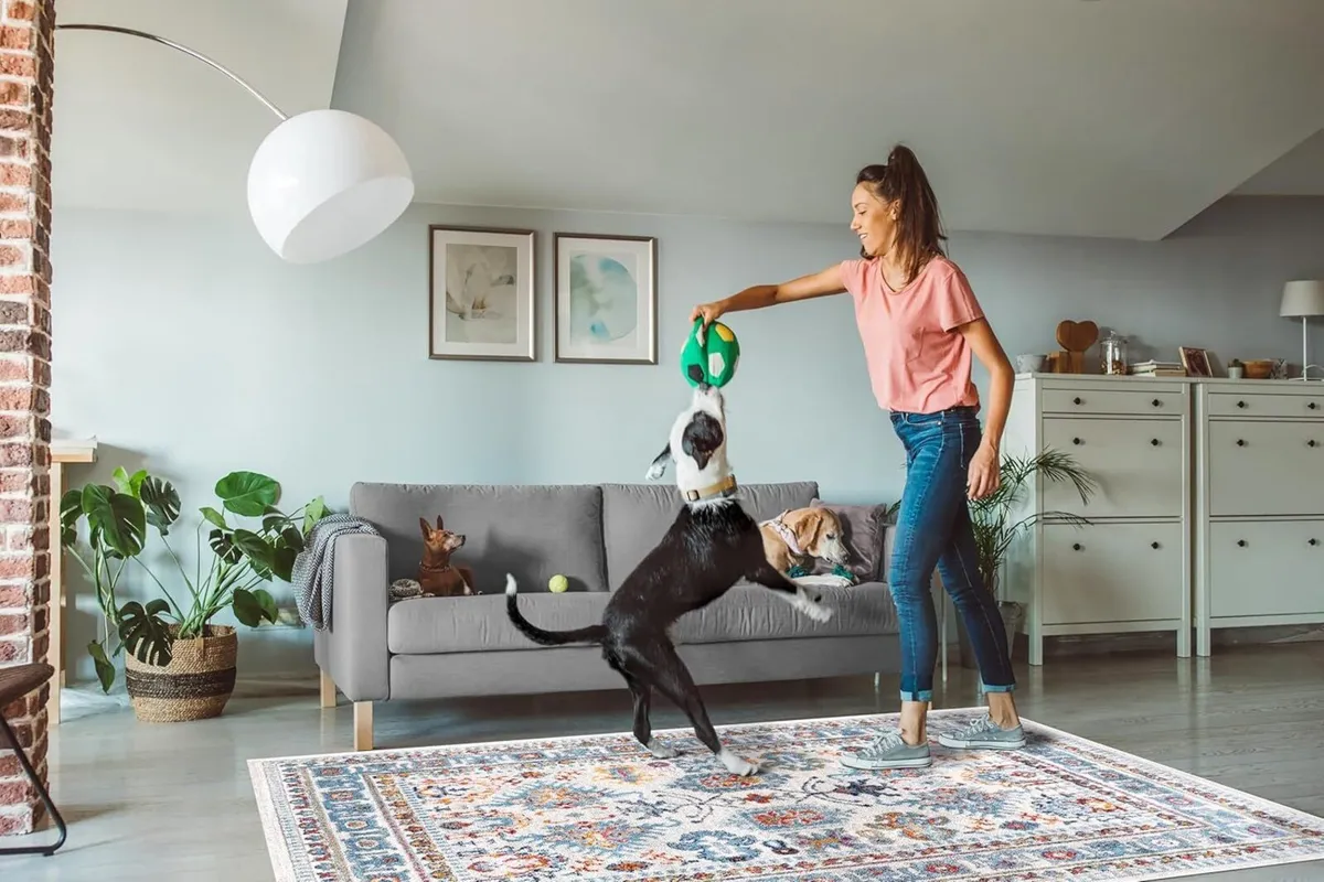 Area Rugs For Living Room Bedroom Kitchen Dining - Image 3