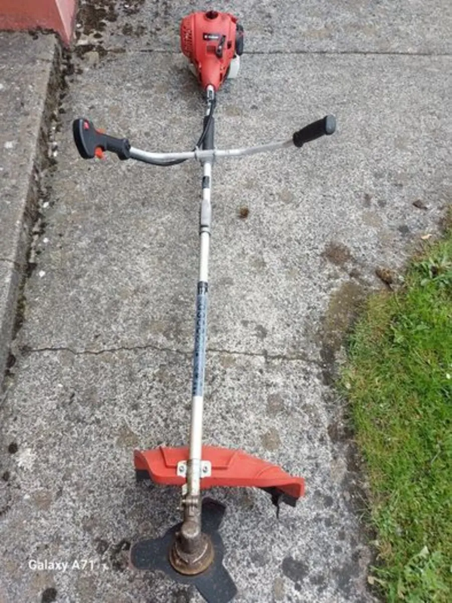 Einhell Petrol Bush Cutter Model WL1E33F, in excel