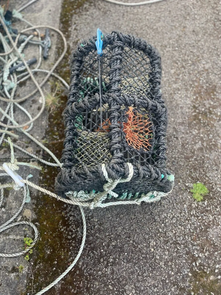 Lobster pots - Image 3