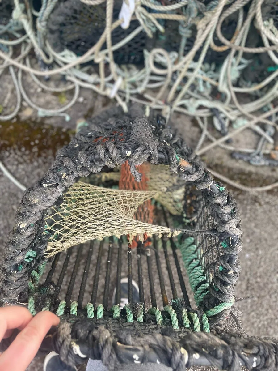 Lobster pots - Image 1