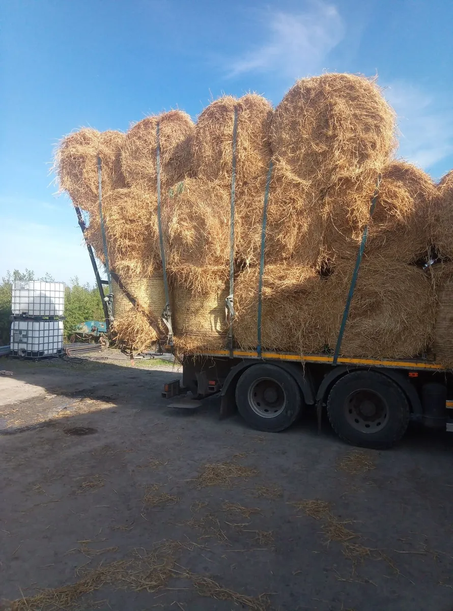 Straw and hay - Image 1