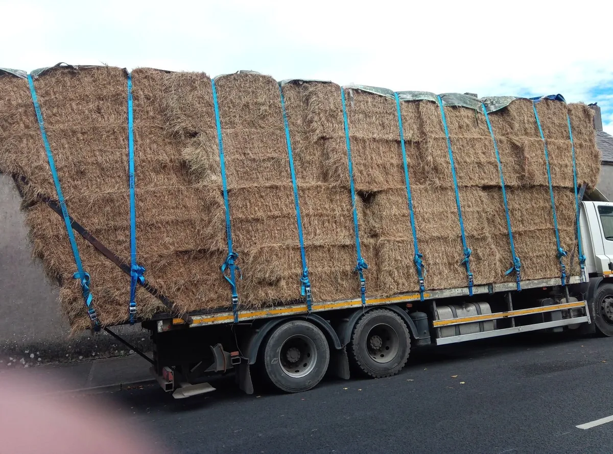 Straw and hay - Image 3