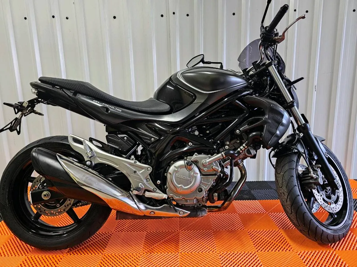Suzuki Gladius 650 A2 - Image 1