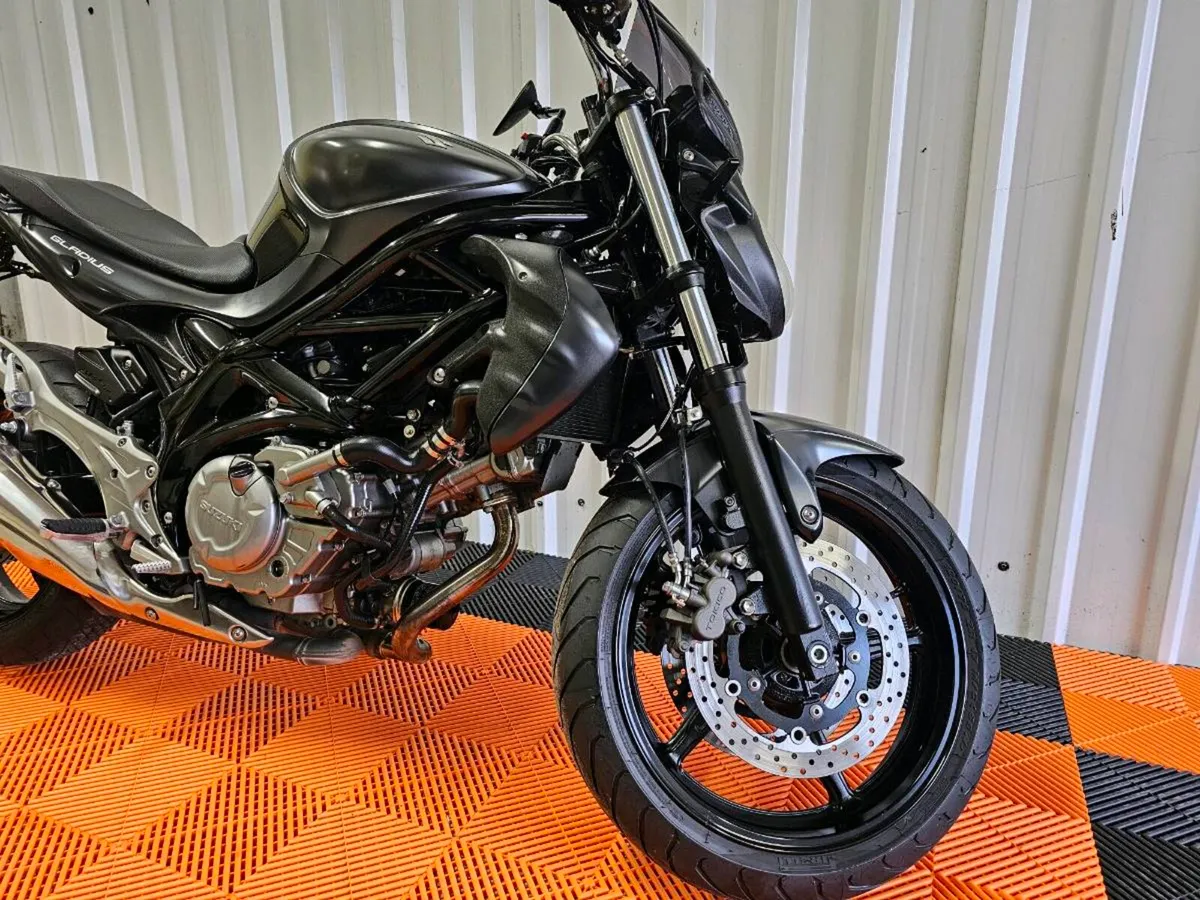 Suzuki Gladius 650 A2 - Image 2