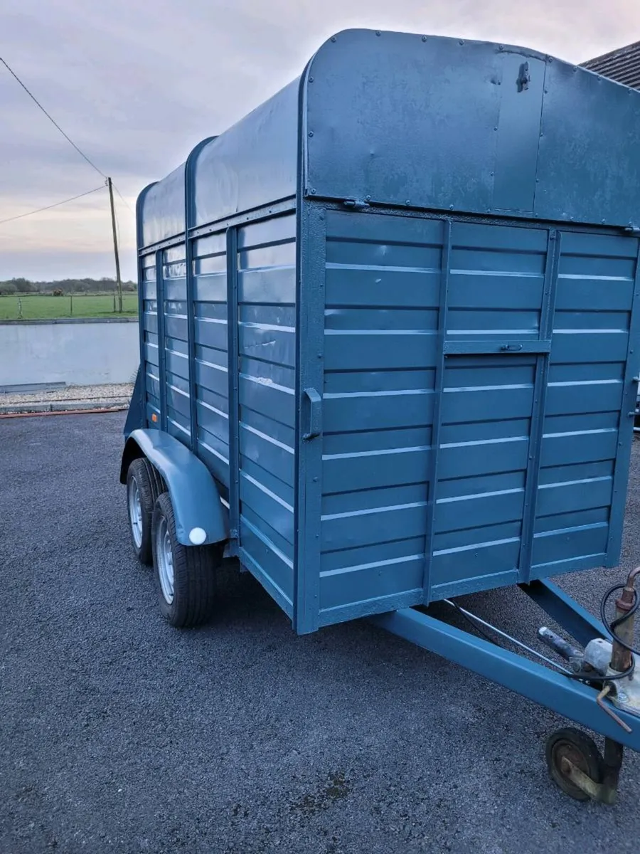 8 by 4,3 cattle trailer auto reverse brakes - Image 3