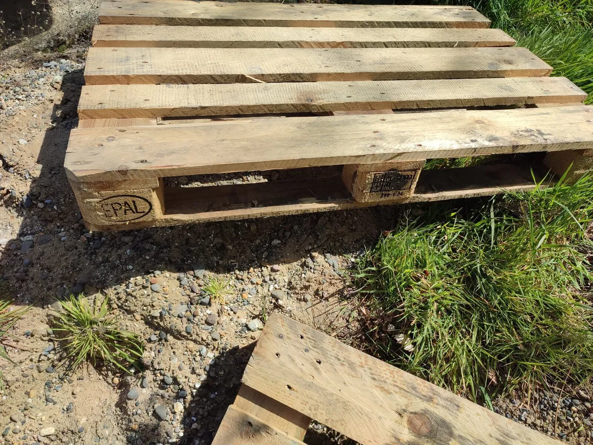 Euro Pallets - Image 1